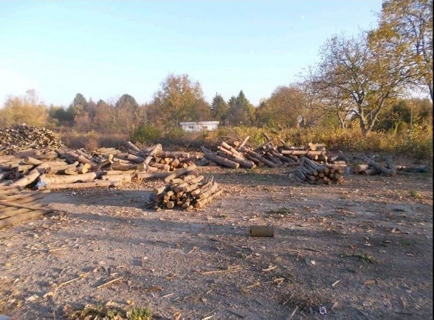 Горски инспектори от РДГ Русе затвориха обект за съхранение и преработка на дървесина