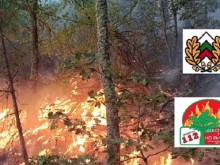 Четвърти ден горски, пожарникари и доброволци гасят пожара на границата с Гърция