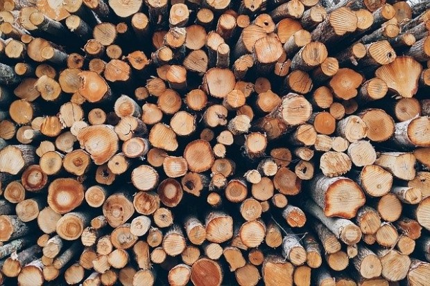 Полицията в Девин разследва незаконен превоз на дърва за огрев