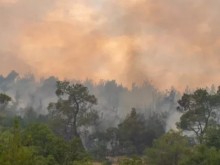 Пожарът в гръцката част на Родопите погълна 850 хектара, в България гори борова гора
