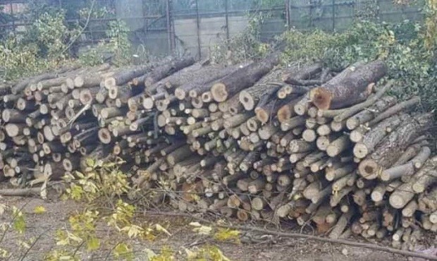 Мамят пенсионери с дърва за огрев в Кюстендилско