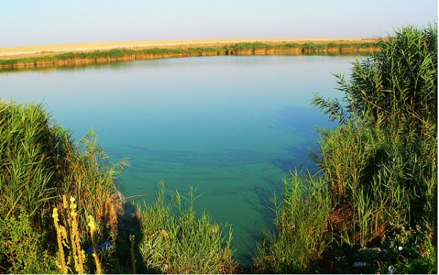 РИОСВ - Варна извърши проверка по сигнал за нарушение в ЗМ "Дуранкулашко езеро"