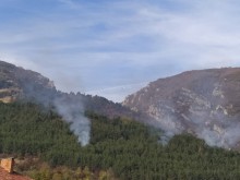 Нов пожар в гората над Карлово