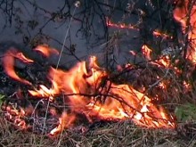 Продължава гасенето на пожара на българо-гръцката граница