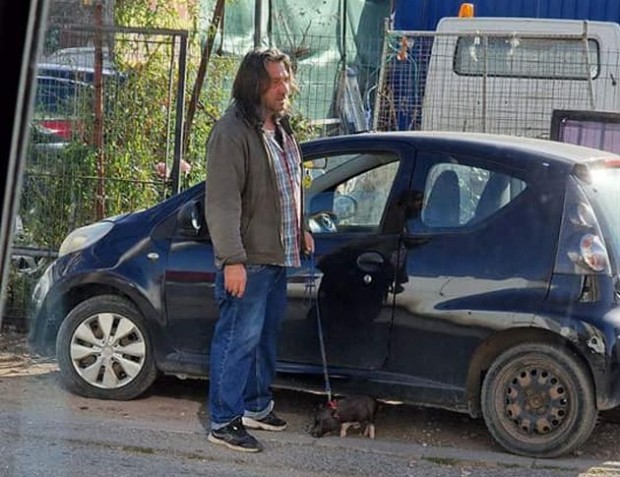 Необикновена гледка развесели софиянци научи Sofia24 bg Мъж разхожда малко прасенце