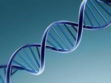 8% от генома на човека са останки от древни вируси
