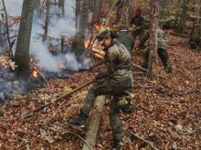 Военнослужещи от Сухопътните войски помагат в потушаването на големия горски пожар в Родопите