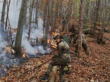 Пратиха военни да помагат в потушаването на големия пожар в Родопите