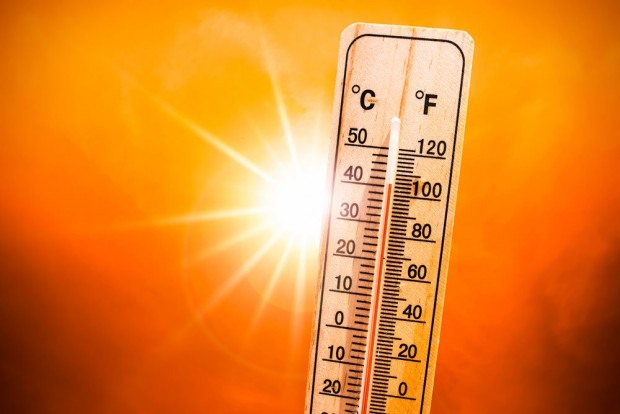 Най малко 15 хиляди души са загинали заради необичайно горещото време