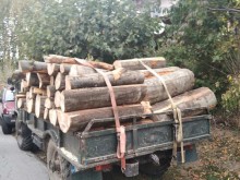 Разкриха незаконна схема за доставка на дърва за огрев