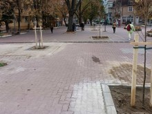 В Кюстендил стартира есенна кампания по озеленяване
