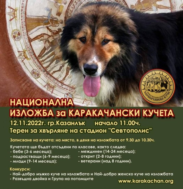 Казанлък ще бъде домакин на Националната киноложка изложба за каракачански кучета