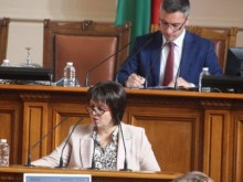 Веска Ненчева, БСП, пита земеделския министър за безплатните дърва за пострадалите от наводненията в Карловско