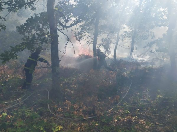 Пожар гори в странджанската местност "Свети Никола"