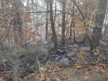Пожарът в Странджа е неутрализиран, засегнати са 5 дка площ