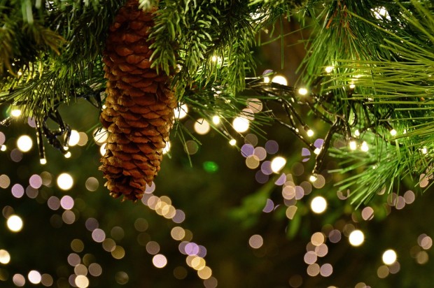 Светлините на Коледния базар в Добрич ще грейнат на 5 декември