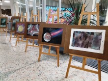 Благотворителна изложба "Арт кауза – рисувай със спрей" представя Младежки център - Добрич