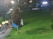 Вандалска проява в парк в Пловдив