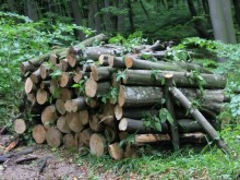 Между 100 и 150 лева е най-ниската цена на дървата за огрев във Великотърновско
