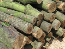 Кметът Исмаил Осман: Близо 2000 семейства в община Руен са без дърва за огрев