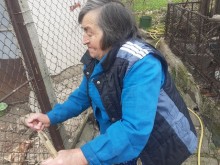 Пенсионерката Теменужка: Излязох на терасата и видях кървава баня по двора!