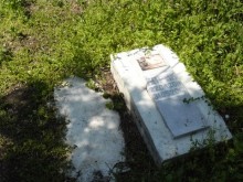 Общински съветници предлагат Община Бургас да предостави терен за гробище за домашни любимци