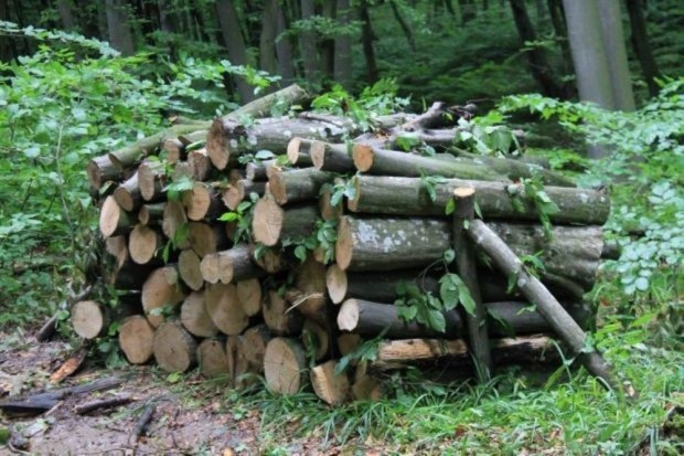 Илиян Янчев, кмет на Малко Търново: Единствената привилегия на местните остава тази – да вземат по-евтини дърва и те да дойдат на време