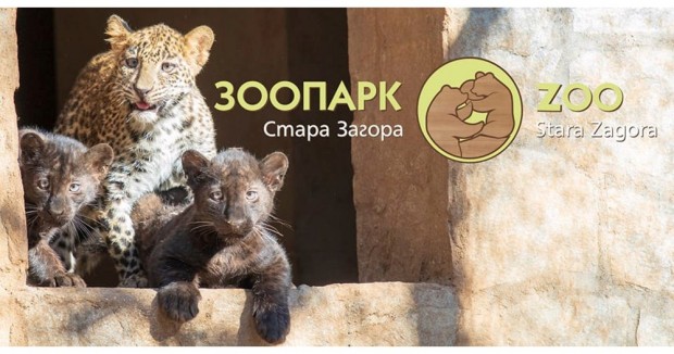 10-годишният Пламен Димов стана кръстник на леопарда и двете пантери от старозагорския Зоопарк