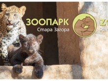 10-годишният Пламен Димов стана кръстник на леопарда и двете пантери от старозагорския Зоопарк
