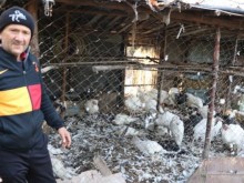 Родопчанин откри зловеща гледка в двора си, доплака му се