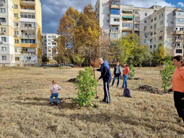 TD С 30 нови дръвчета днес бе обогатена зеленината в пловдивския