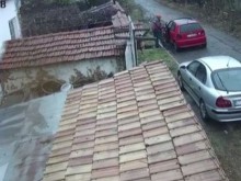 Пореден случай с насилие над куче!