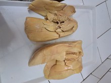 ��� ���� ���� � ��������� ���������������������������!�