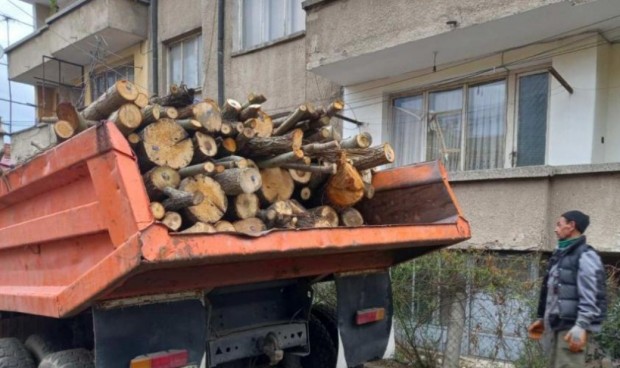 По разпореждане на кмета Илко Стоянов Община Благоевград дарява дървесина придобита