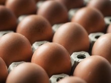 След "Лидл" още една верига супермаркети въведе ограничения за купуванe на яйца във Великобритания