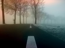Гъста мъгла намалява видимостта в района на Добрич