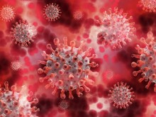 252 са новите случаи на коронавирус, в болница са 453 души