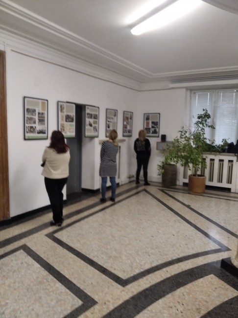 Развитието на предучилищното образование в България представят в изложба в МОН