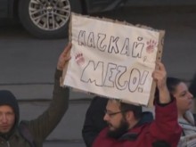 Протест заради мъжа, пребил кучето Мечо