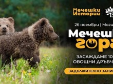 Засаждат 1000 горскоплодни дръвчета край село Могилица в кампанията "Мечешка гора"