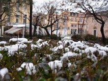 Зимата идва: Девет области са с обявен жълт код за сняг и поледици