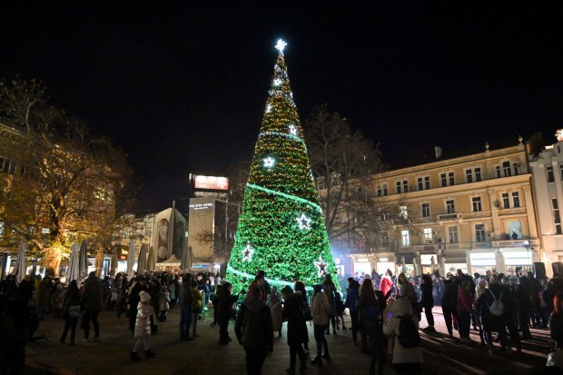 Коледното дърво пред общината в Пловдив грейва на 1 декември