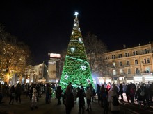 Коледното дърво пред общината в Пловдив грейва на 1 декември