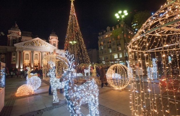 Коледното дърво пред Народния театър в София грейва на 1 декември