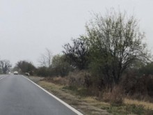 Трима загинали при катастрофа между две коли в Старозагорско