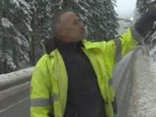 Нашенци се разминаха с мечка в гората между Пампорово и Стойките, заснеха и клипче