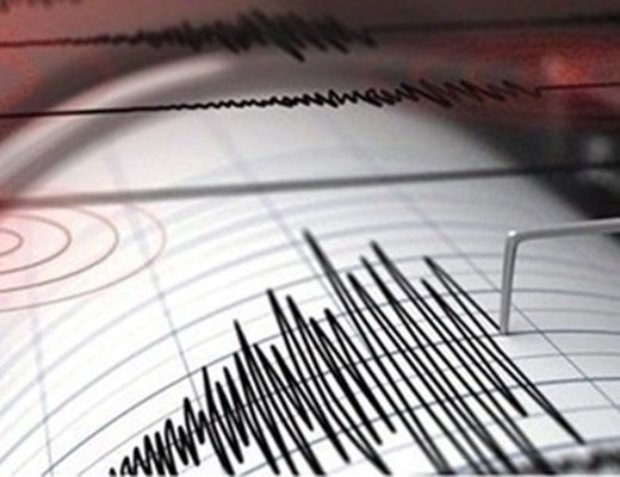 Земетресение с магнитуд от 4 9 по скалата на Рихтер разлюля