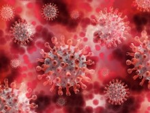 221 са новите случаи на коронавирус у нас за последното денонощие