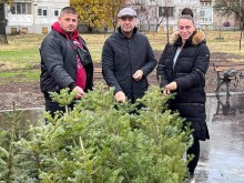 Засадиха още дръвчета в парк "Кан Крум" в "Тракия" в Пловдив