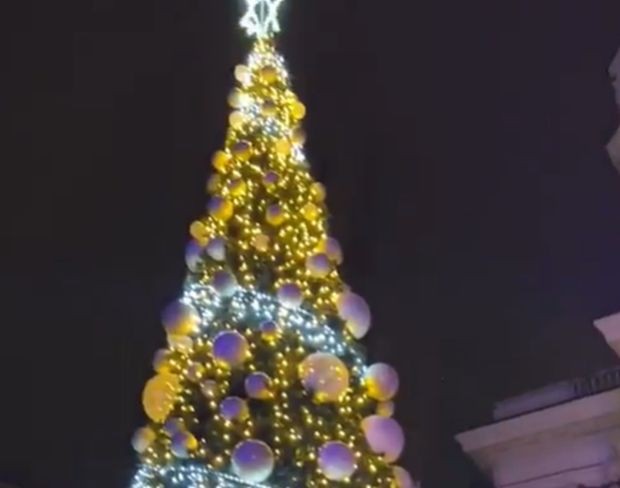 Запалиха светлините на коледната елха в София